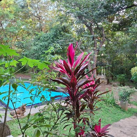 Villa Habarana Εξωτερικό φωτογραφία
