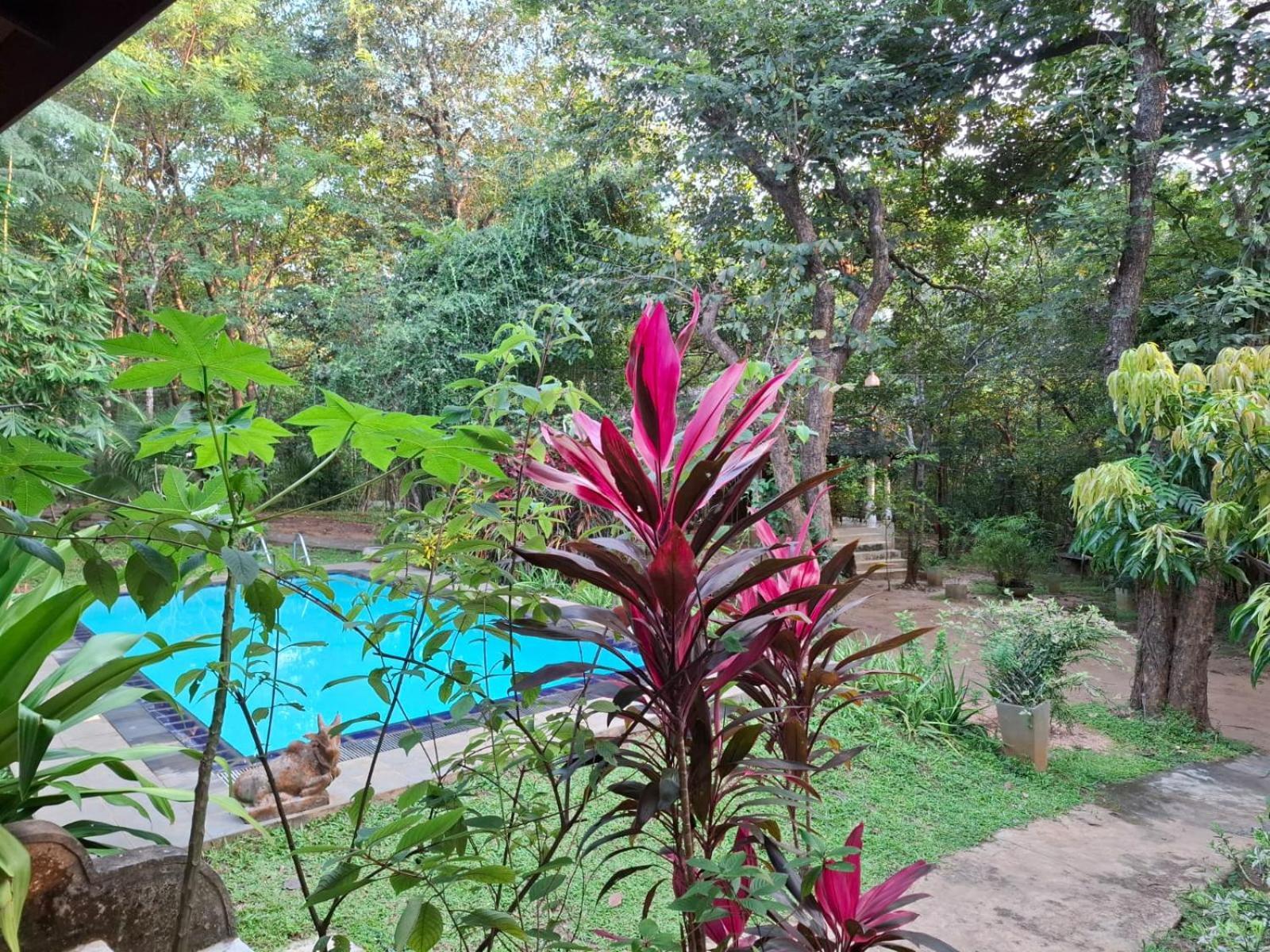 Villa Habarana Εξωτερικό φωτογραφία